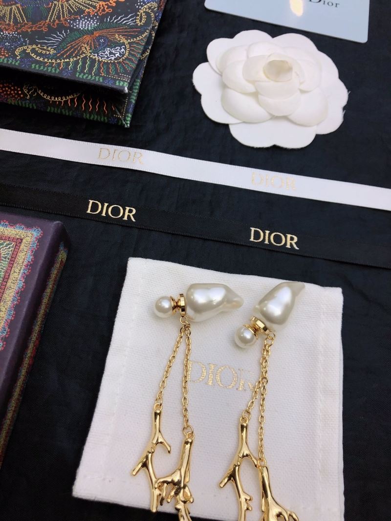 Christian Dior Earrings